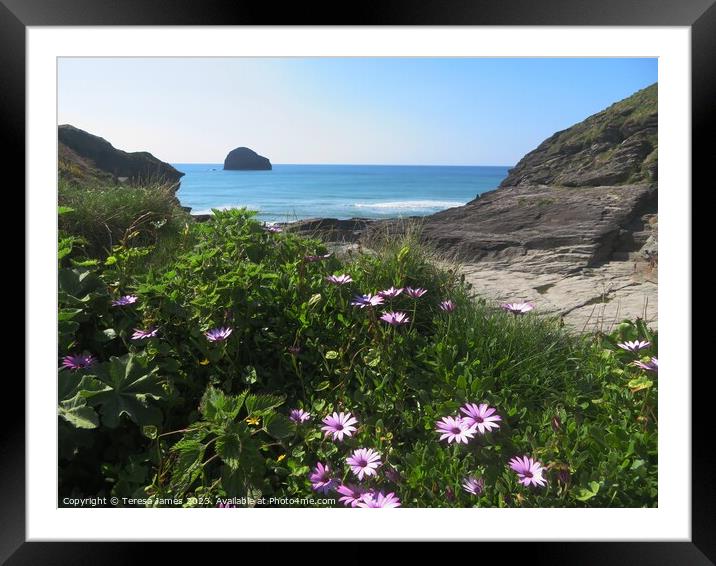 Coastal flowers with sea in background  Framed Mounted Print by Teresa James