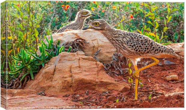 Ready, steady ... Canvas Print by Adrian Turnbull-Kemp