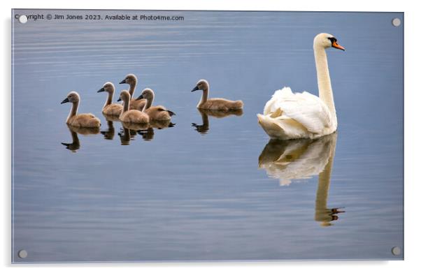 Seven swans a-swimming! Acrylic by Jim Jones