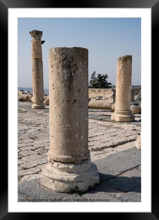 Column on the Byzantine Church Terrace in Gadara Framed Mounted Print by Dietmar Rauscher