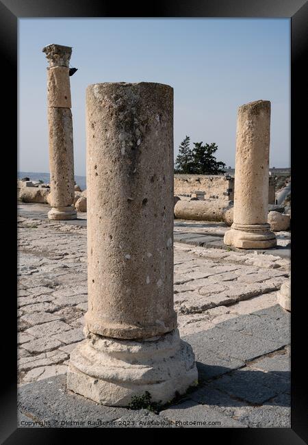 Column on the Byzantine Church Terrace in Gadara Framed Print by Dietmar Rauscher