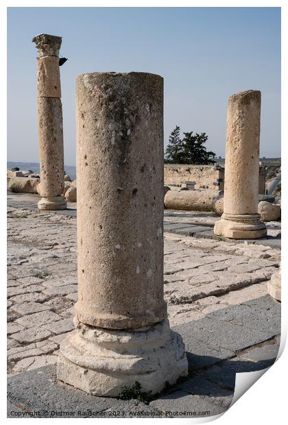 Column on the Byzantine Church Terrace in Gadara Print by Dietmar Rauscher