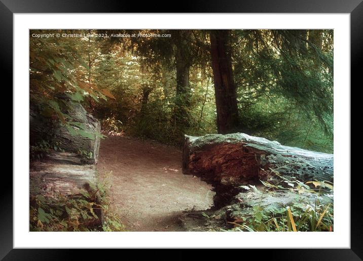 The Path Beyond Framed Mounted Print by Christine Lake