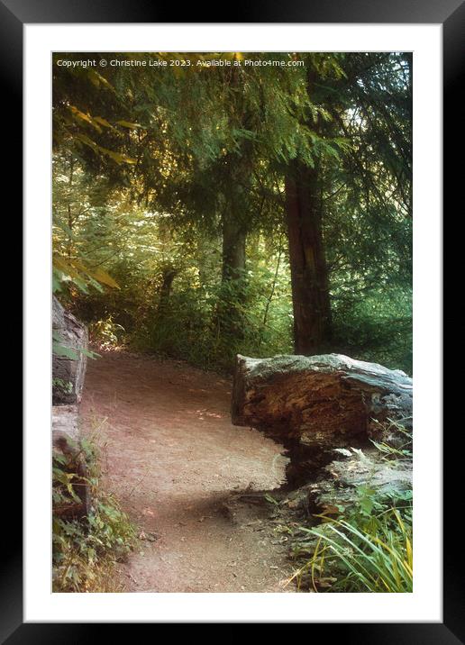 The Path Beyond 2 Framed Mounted Print by Christine Lake