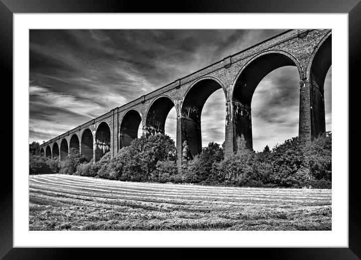  Conisbrough Viaduct Framed Mounted Print by Darren Galpin