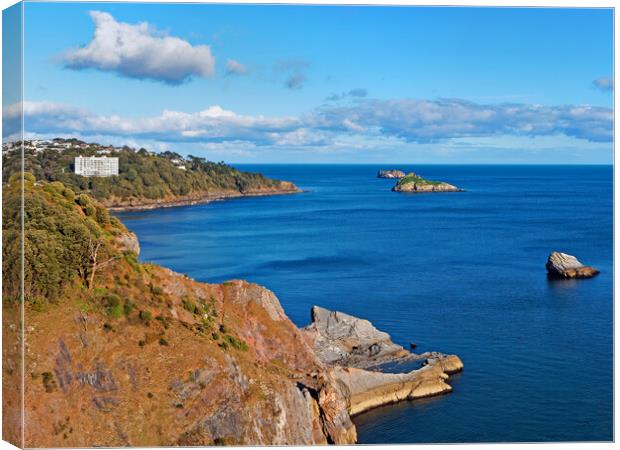 View from Daddyhole Cove, Torquay Canvas Print by Darren Galpin