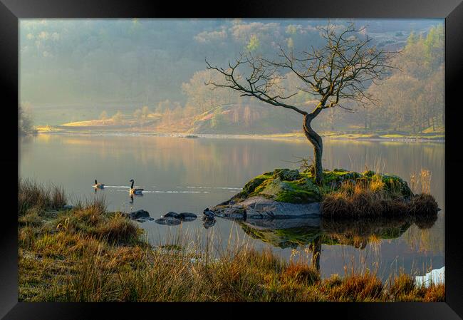 Ethereal Rydal Water Framed Print by Michael Brookes