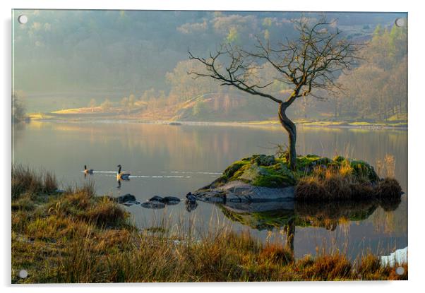 Ethereal Rydal Water Acrylic by Michael Brookes