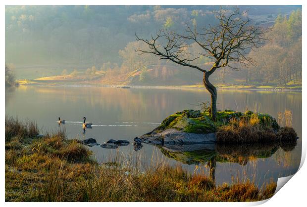 Ethereal Rydal Water Print by Michael Brookes