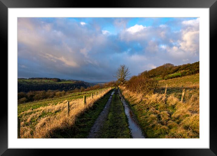 Hurgill Road Richmond Framed Mounted Print by Steve Smith