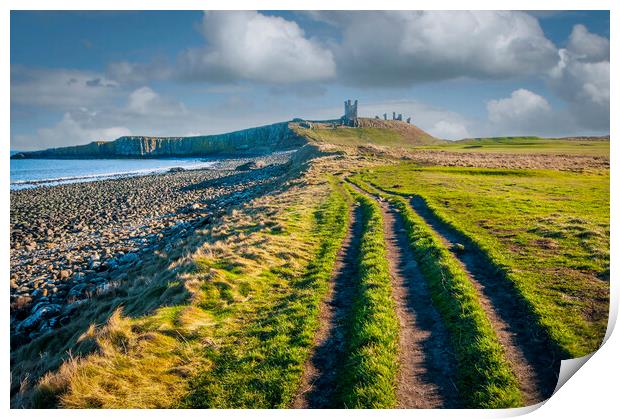 Majestic ruins of Dunstanburgh Print by Steve Smith