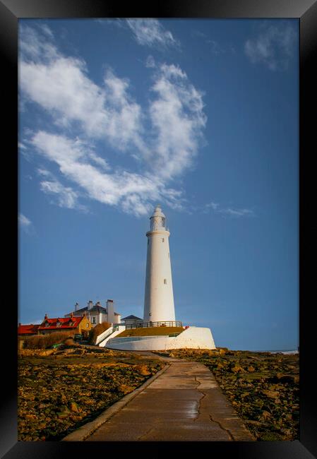 St Marys Lighthouse Framed Print by Steve Smith