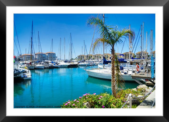 Queensway Quay Gibraltar  Framed Mounted Print by Alison Chambers