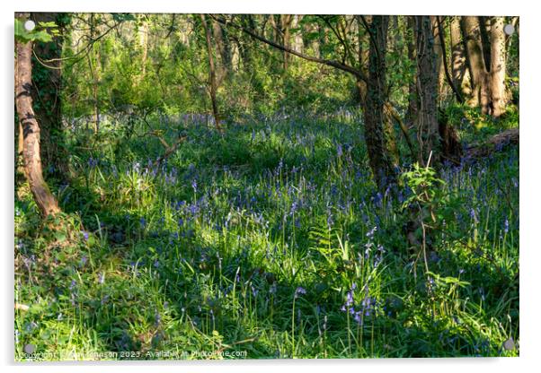 Spring at Penrrhos nature park, Isle of Anglesey North Wales  Acrylic by Gail Johnson