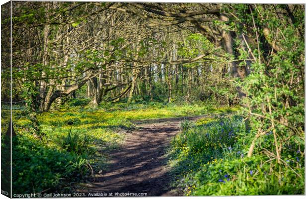 Spring at Penrrhos nature park, Isle of Anglesey North Wales  Canvas Print by Gail Johnson