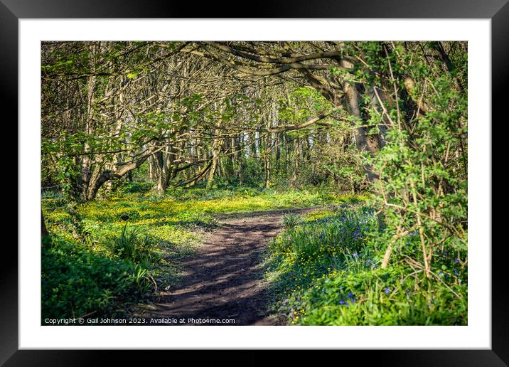 Spring at Penrrhos nature park, Isle of Anglesey North Wales  Framed Mounted Print by Gail Johnson