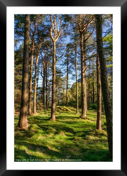 Views around the Devils Kitchen, Snowdonia National Park , North Framed Mounted Print by Gail Johnson