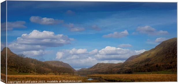 Buttermere view Canvas Print by phil pace