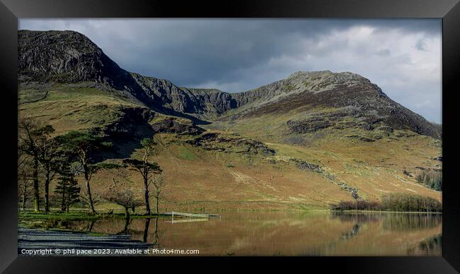 Buttermere pines Framed Print by phil pace