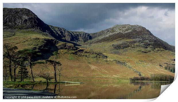 Buttermere pines Print by phil pace