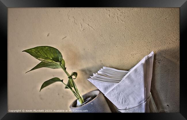 Wall, Plant and Napkin  Framed Print by Kevin Plunkett