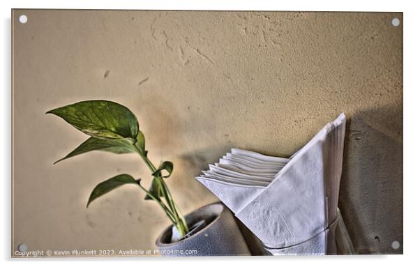 Wall, Plant and Napkin  Acrylic by Kevin Plunkett
