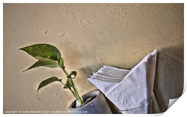 Wall, Plant and Napkin  Print by Kevin Plunkett