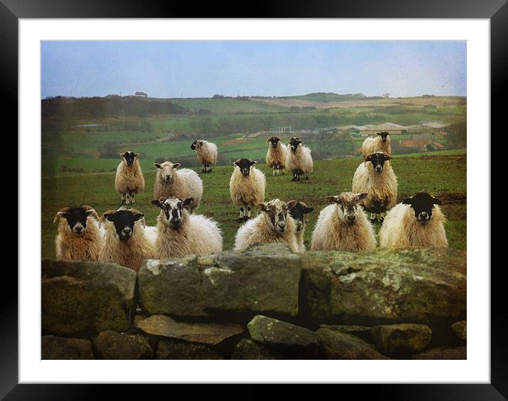 They Must Think They're Getting Fed Framed Mounted Print by Sarah Couzens
