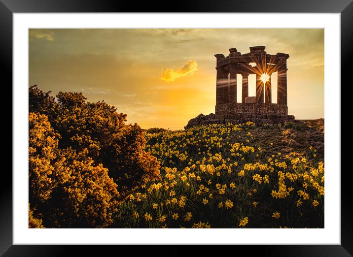 Resilience in Golden Light Framed Mounted Print by DAVID FRANCIS