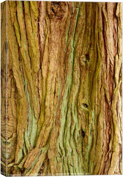 Tree bark Patterns Canvas Print by Simon Johnson