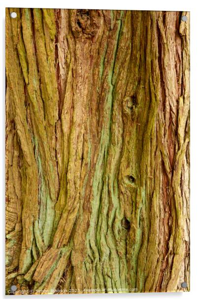 Tree bark Patterns Acrylic by Simon Johnson
