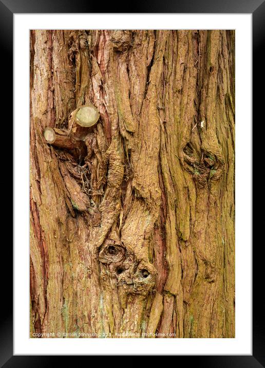 Tree bark Framed Mounted Print by Simon Johnson