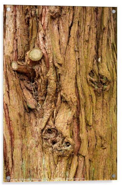 Tree bark Acrylic by Simon Johnson