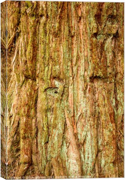 pattern in tree bark Canvas Print by Simon Johnson