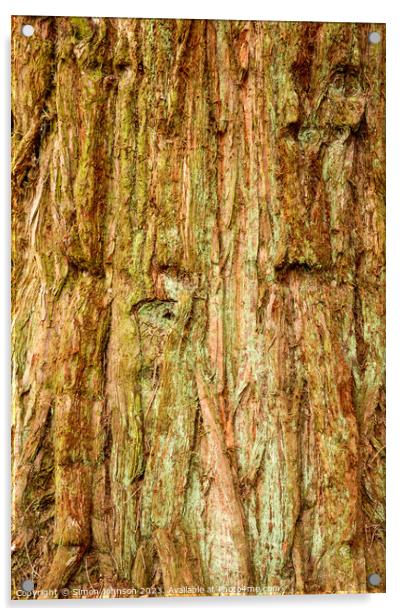 pattern in tree bark Acrylic by Simon Johnson