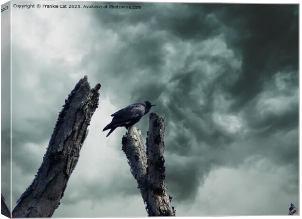 Crow with Storm Clouds Canvas Print by Frankie Cat
