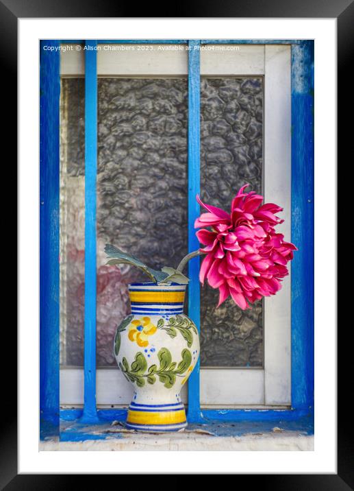 Mediterranean Flower Framed Mounted Print by Alison Chambers