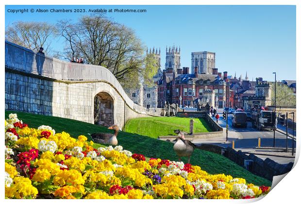 Springtime In York Print by Alison Chambers