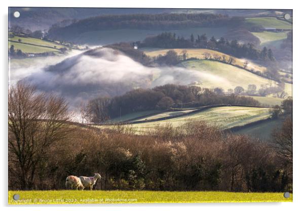 Enchanting Misty Devon Morning Acrylic by Bruce Little