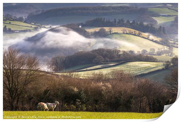 Enchanting Misty Devon Morning Print by Bruce Little