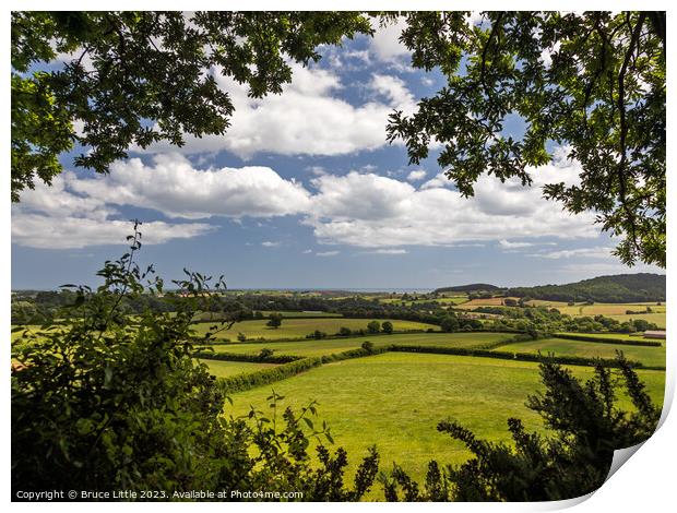 Serene East Devon Landscape Print by Bruce Little