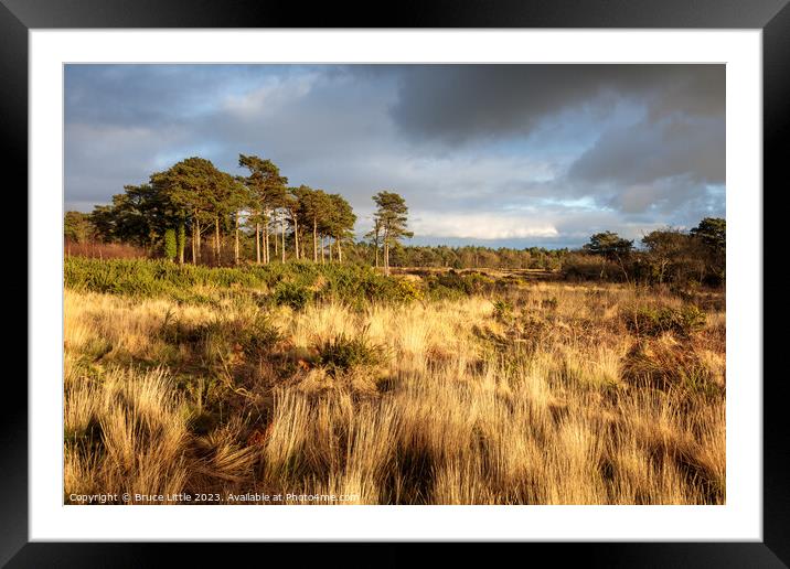 The Golden Heathland of Mutters Moor Framed Mounted Print by Bruce Little