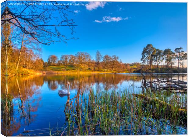 A view Loch Monzievaird near Crief and Comrie Perthshire  Canvas Print by Navin Mistry
