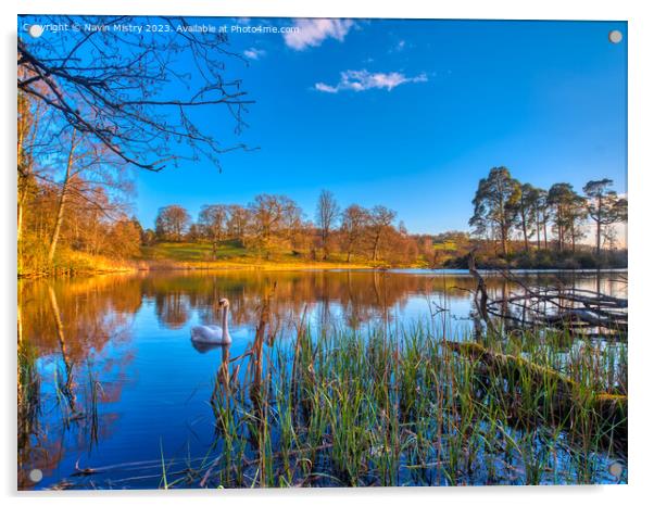 A view Loch Monzievaird near Crief and Comrie Perthshire  Acrylic by Navin Mistry