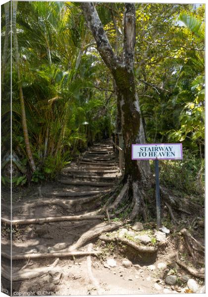Stairway to Heaven, St Lucia Canvas Print by Chris Haynes