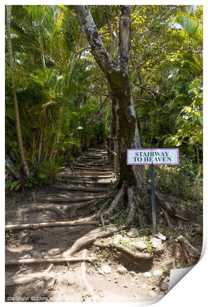 Stairway to Heaven, St Lucia Print by Chris Haynes