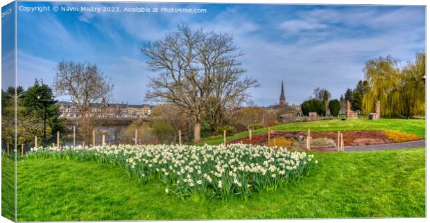 Spring and the Riverside Park, Perth, Scotland Canvas Print by Navin Mistry