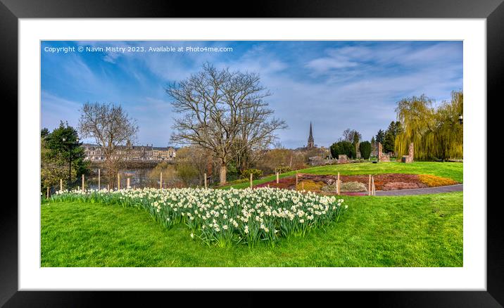 Spring and the Riverside Park, Perth, Scotland Framed Mounted Print by Navin Mistry