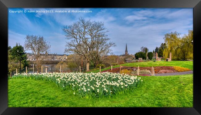 Spring and the Riverside Park, Perth, Scotland Framed Print by Navin Mistry