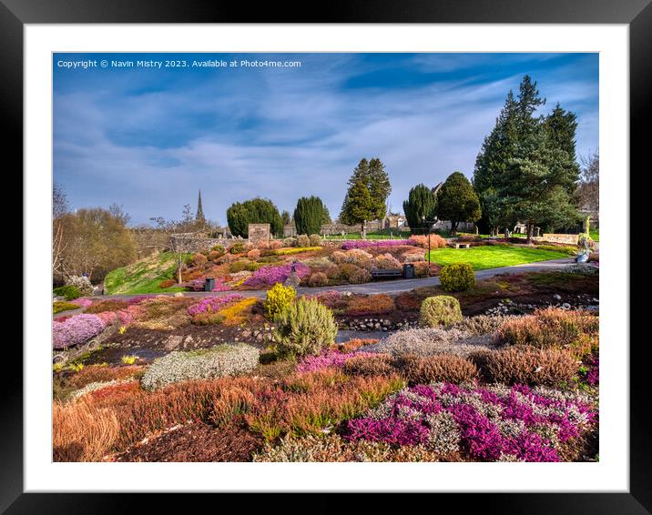  The National Heather Collection, Riverside Park P Framed Mounted Print by Navin Mistry